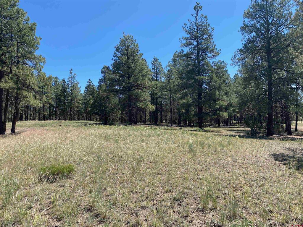 1001 County Rd 200 Property Photo 13