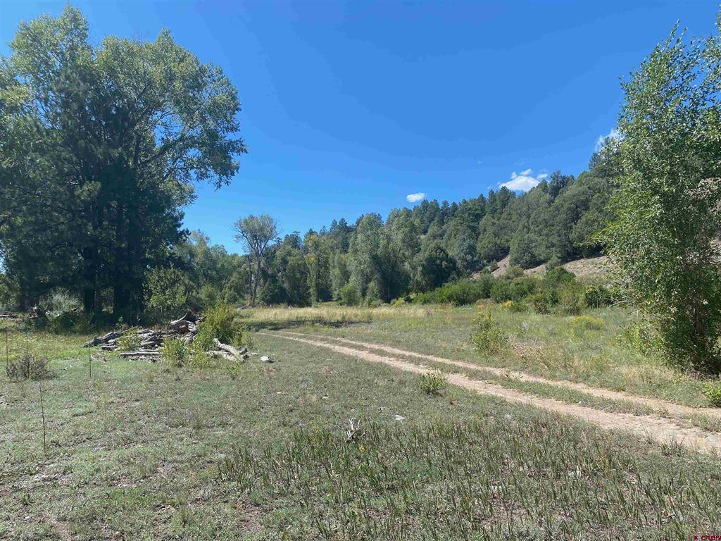 1001 County Rd 200 Property Photo 15