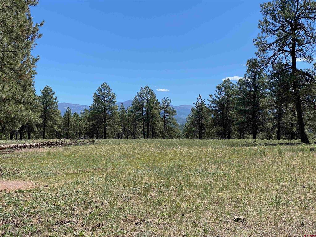 1001 County Rd 200 Property Photo 16