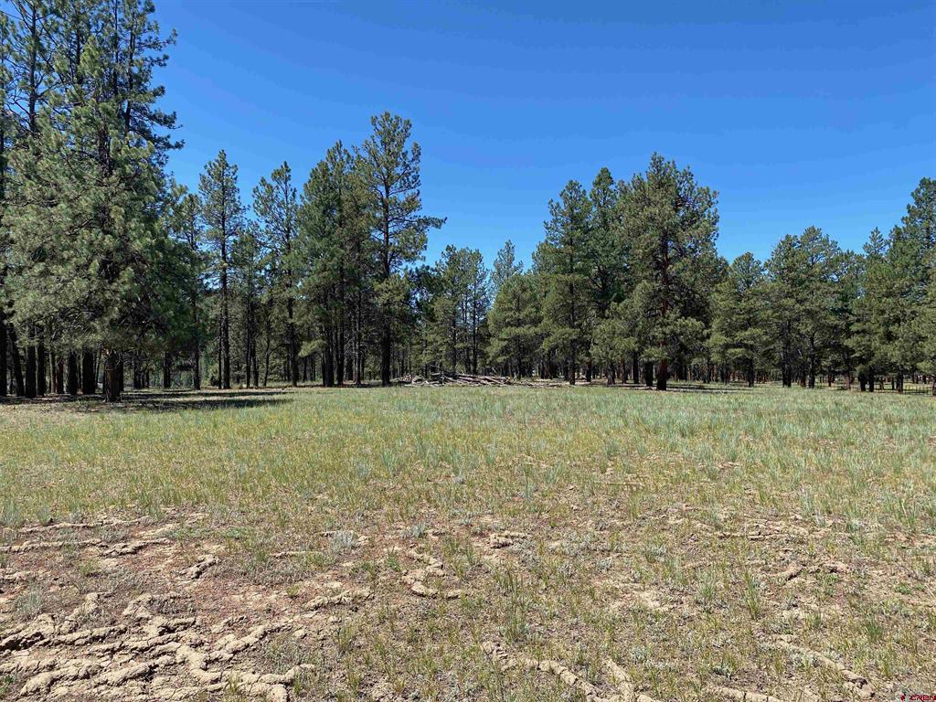 1001 County Rd 200 Property Photo 17