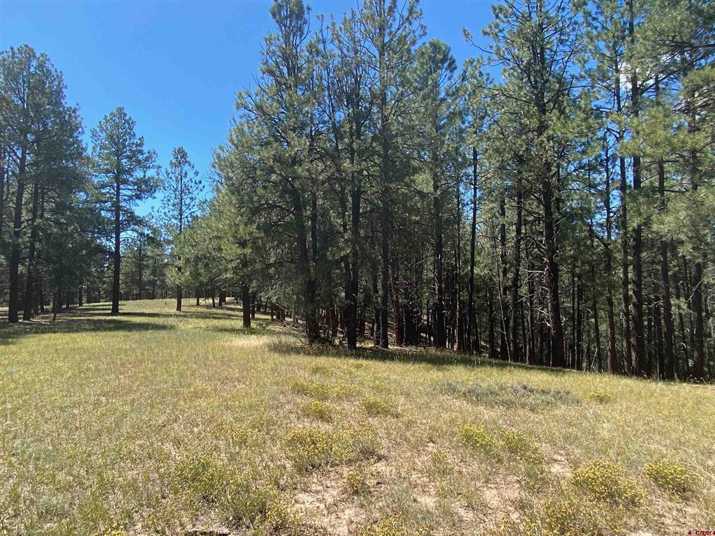 1001 County Rd 200 Property Photo 20