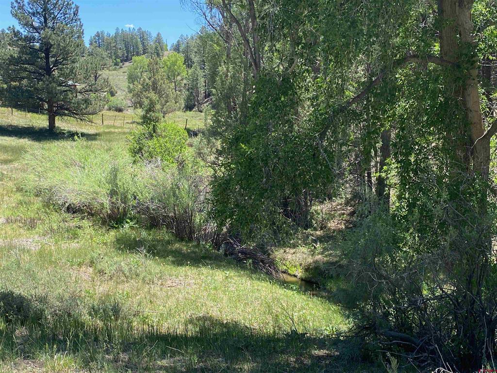 1001 County Rd 200 Property Photo 23