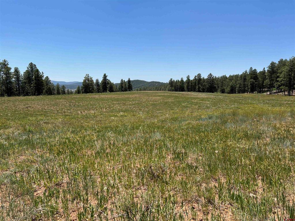 1001 County Rd 200 Property Photo 24