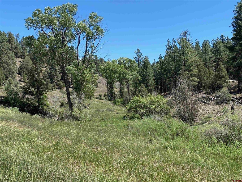 1001 County Rd 200 Property Photo 25