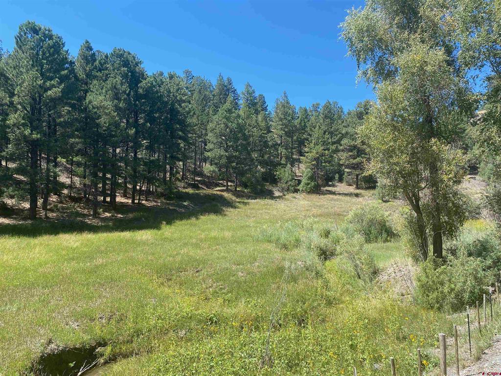 1001 County Rd 200 Property Photo 26