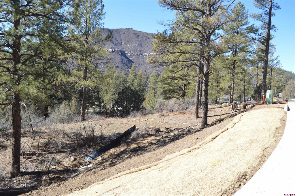 702 Tipple Ave. (lot 122) Property Photo 4