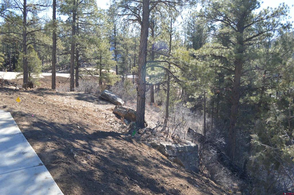 702 Tipple Ave. (lot 122) Property Photo 5