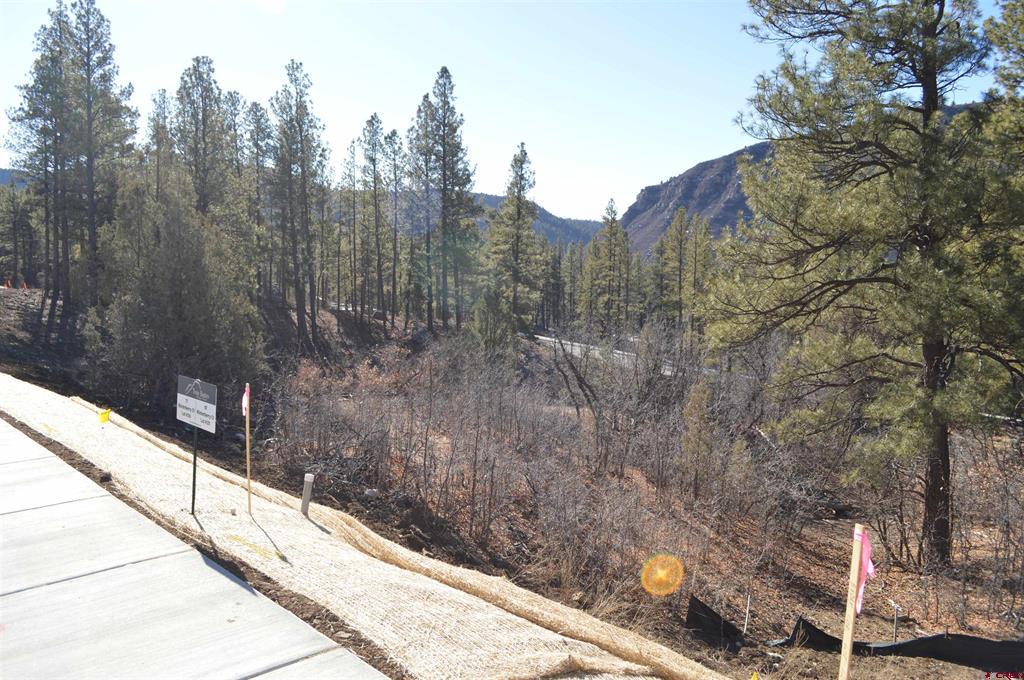 77 Winterberry Ct (lot 124) Property Photo 3