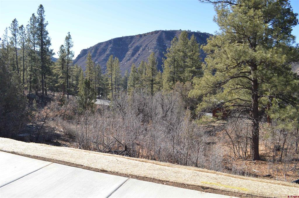 77 Winterberry Ct (lot 124) Property Photo 4