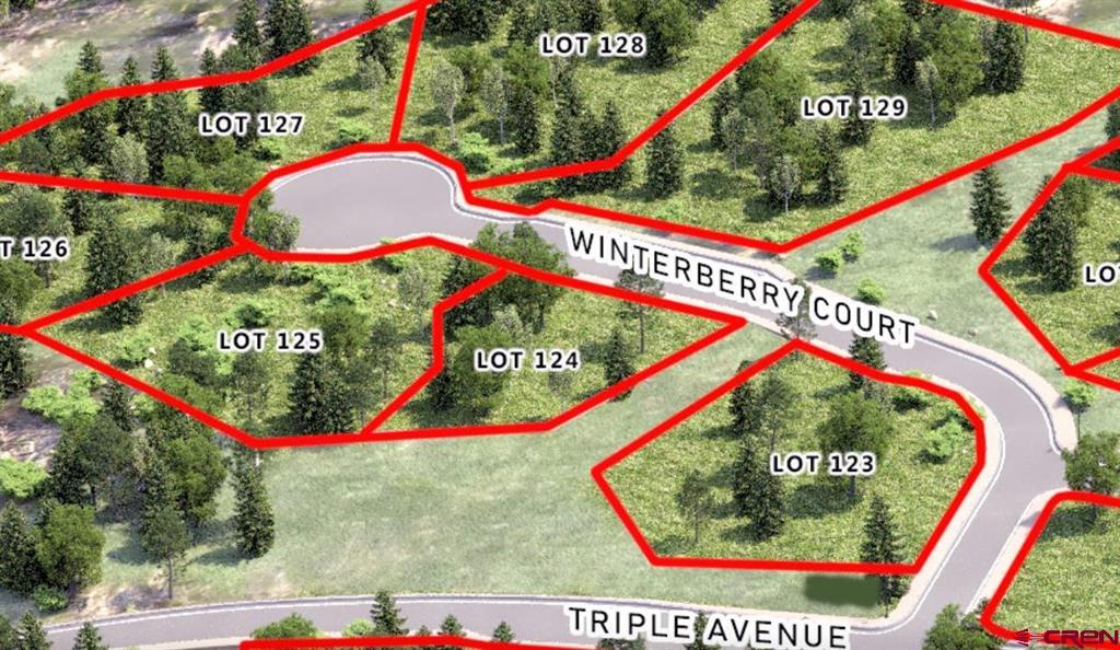 77 Winterberry Ct (lot 124) Property Photo 10