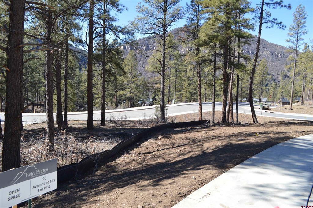20 Avalanche Lily Dr. (lot 130) Property Photo 3