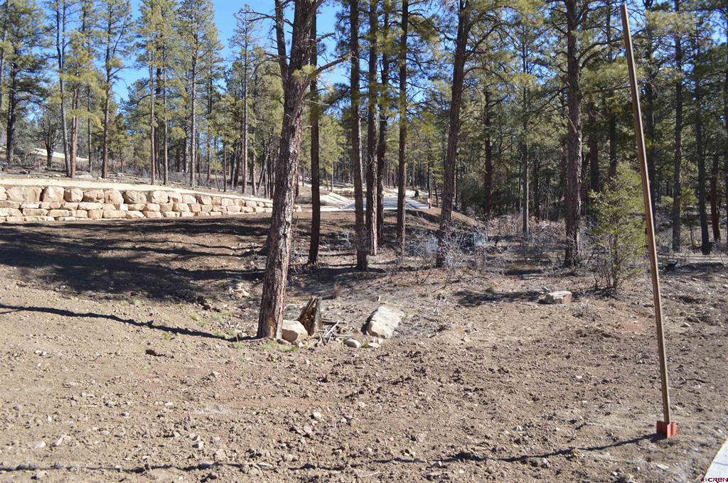 20 Avalanche Lily Dr. (lot 130) Property Photo 4