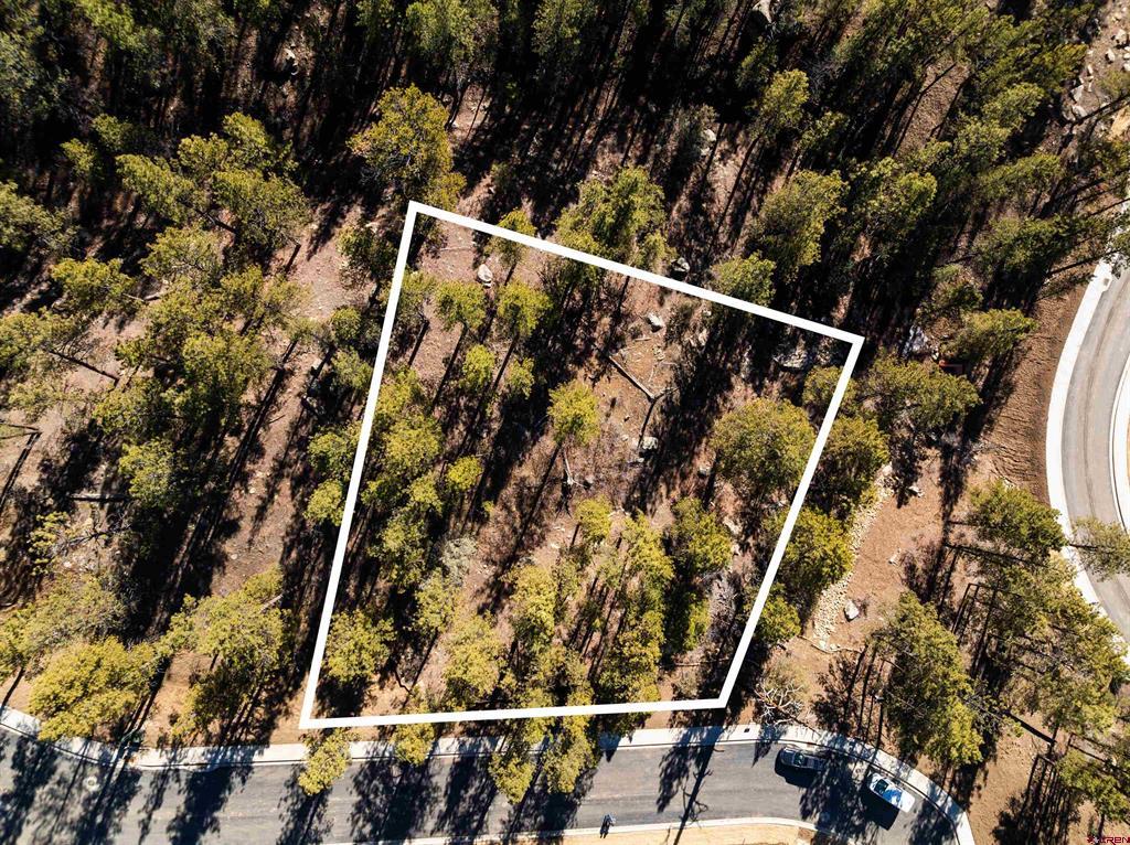 46 Avalanche Lily Dr. (lot 131) Property Photo