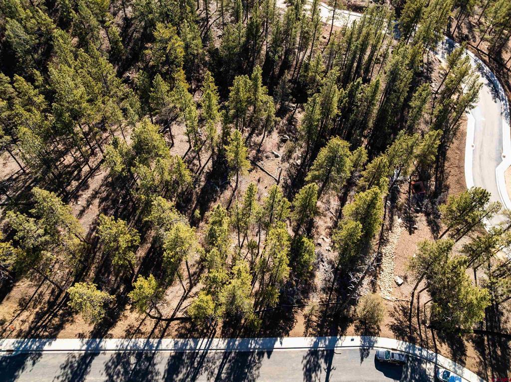 46 Avalanche Lily Dr. (lot 131) Property Photo 2
