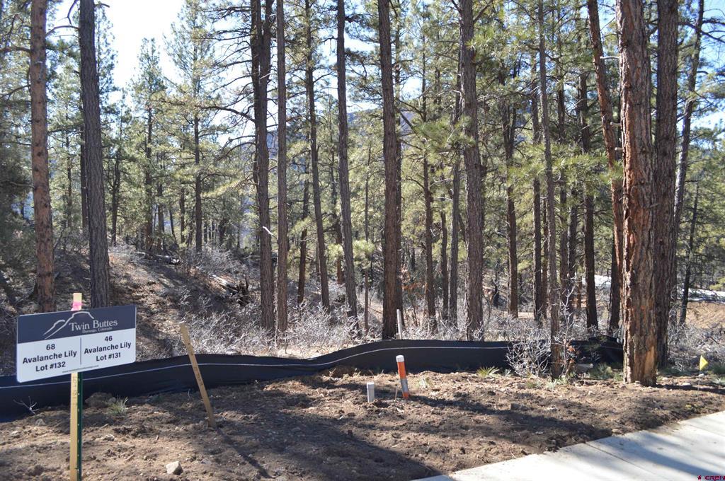46 Avalanche Lily Dr. (lot 131) Property Photo 3