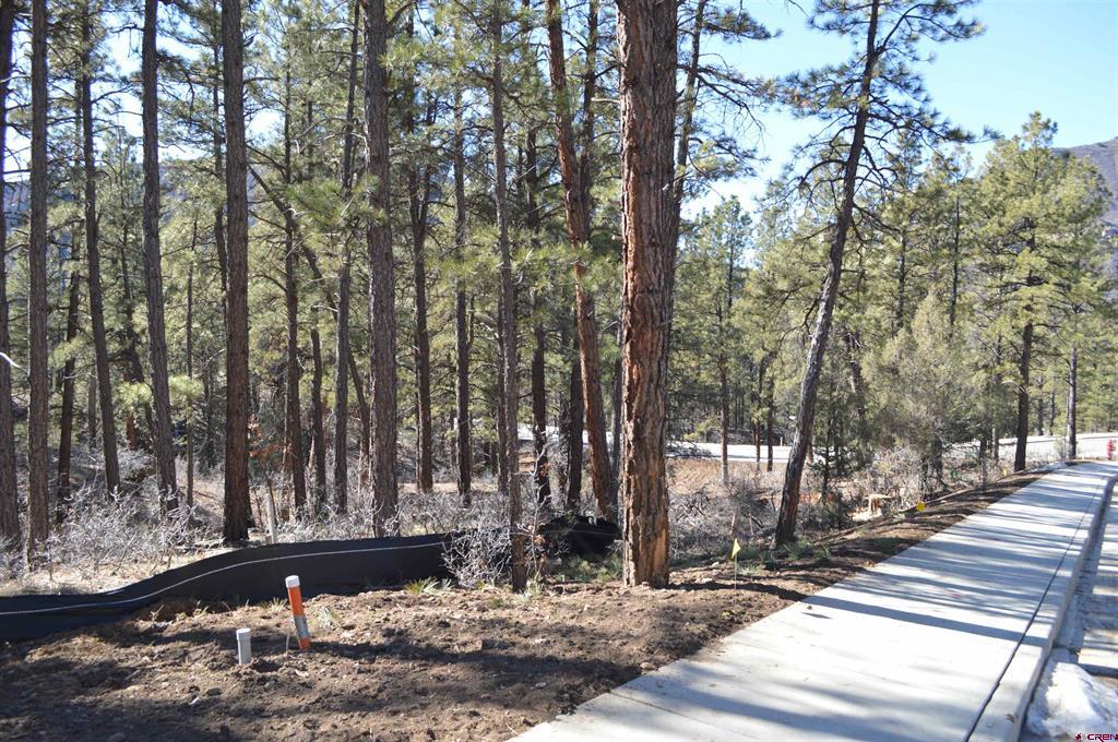 46 Avalanche Lily Dr. (lot 131) Property Photo 4