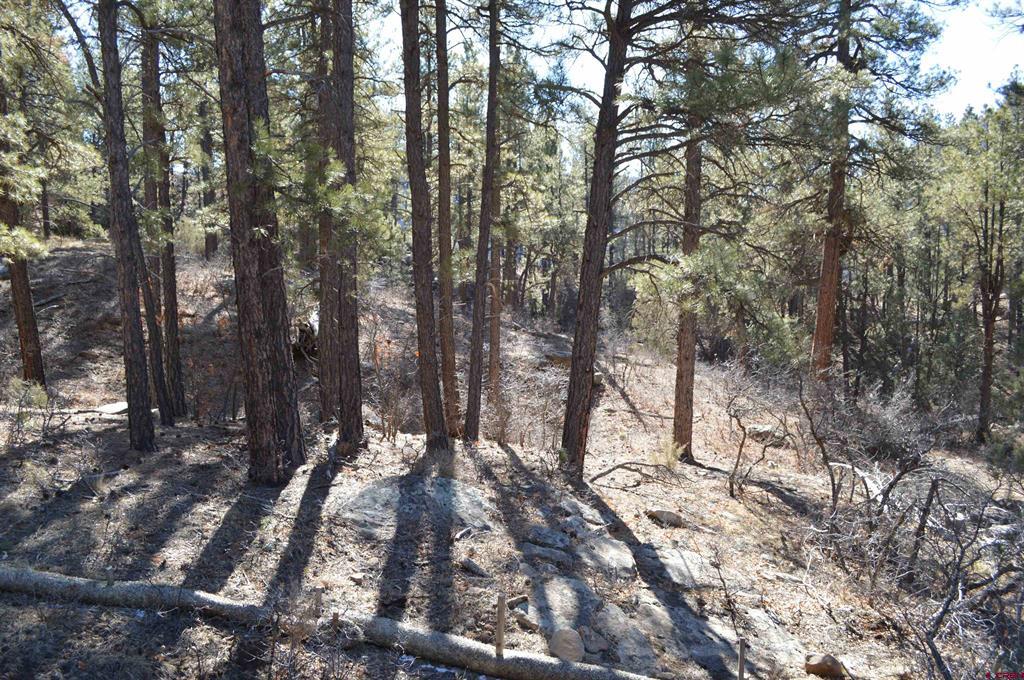 46 Avalanche Lily Dr. (lot 131) Property Photo 5