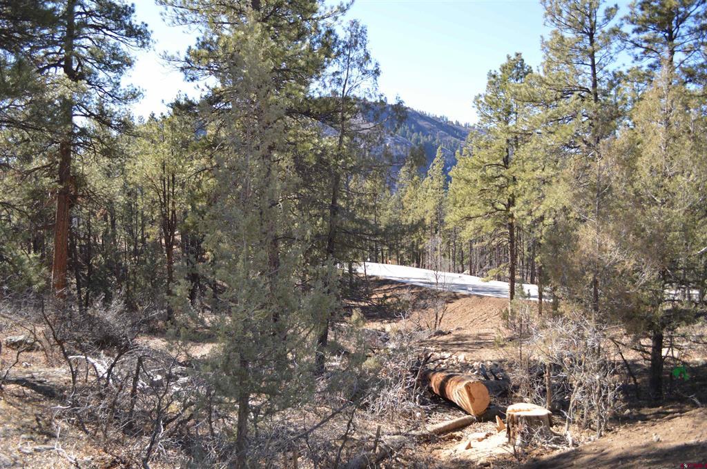 46 Avalanche Lily Dr. (lot 131) Property Photo 6