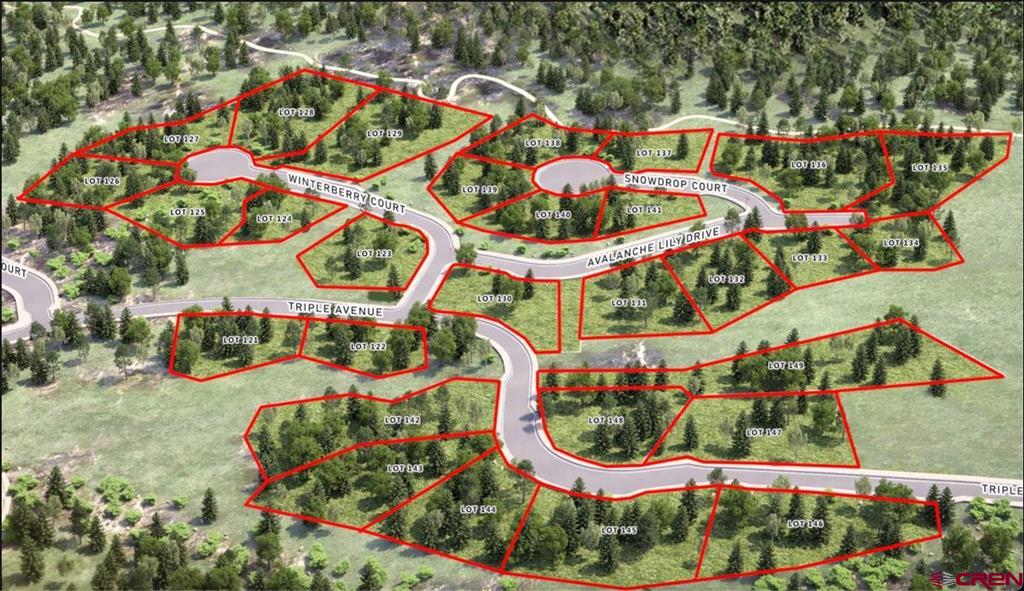 46 Avalanche Lily Dr. (lot 131) Property Photo 11