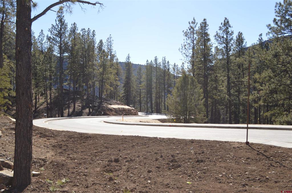 46 Avalanche Lily Dr. (lot 131) Property Photo 26