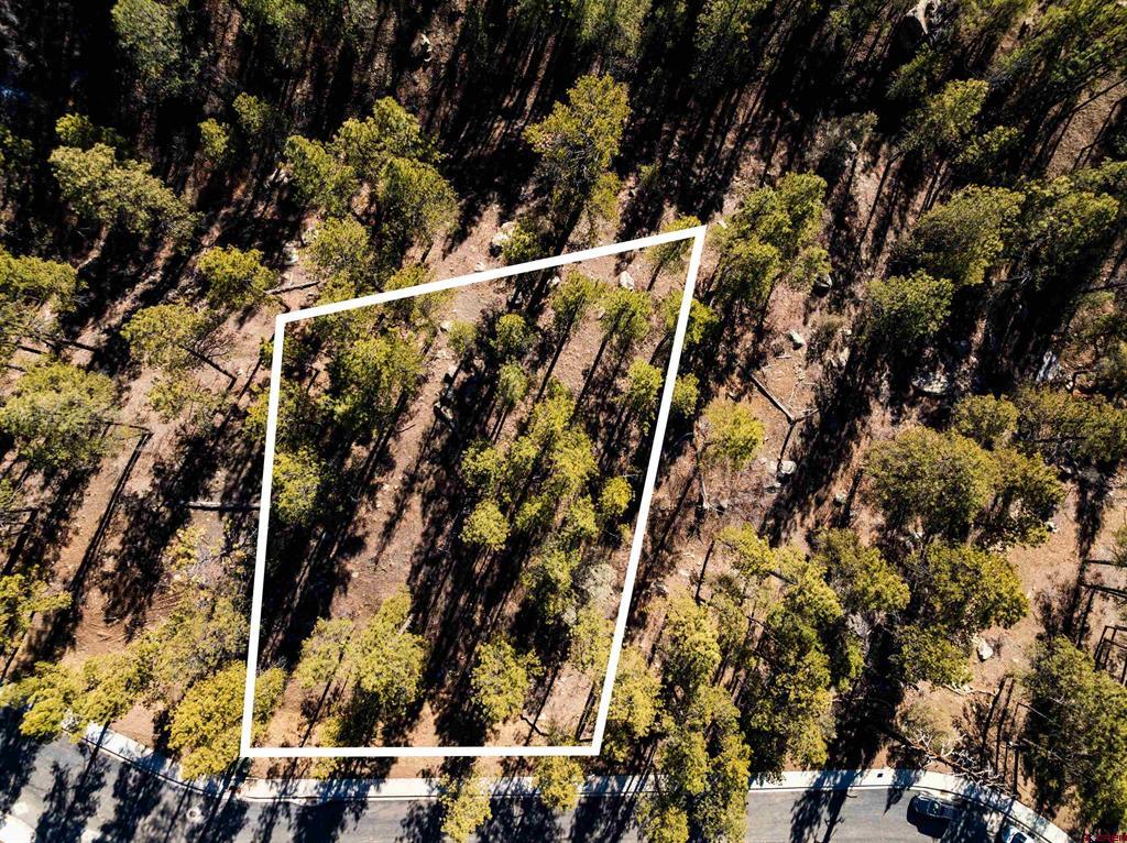 68 Avalanche Lily Dr. (Lot 132) Property Photo 1