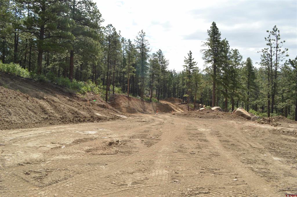 90 Avalanche Lily Dr. (lot 133) Property Photo 15