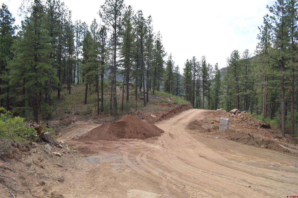90 Avalanche Lily Dr. (lot 133) Property Photo 19