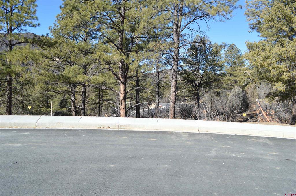 63 Snowdrop Ct. (lot 139) Property Photo 4