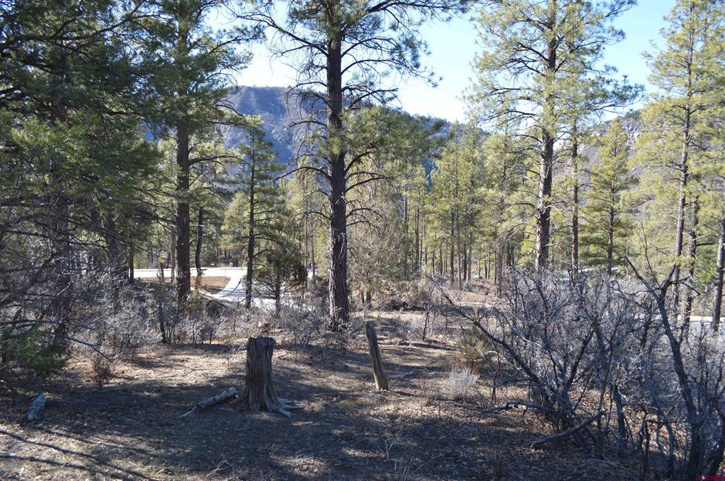 63 Snowdrop Ct. (lot 139) Property Photo 6