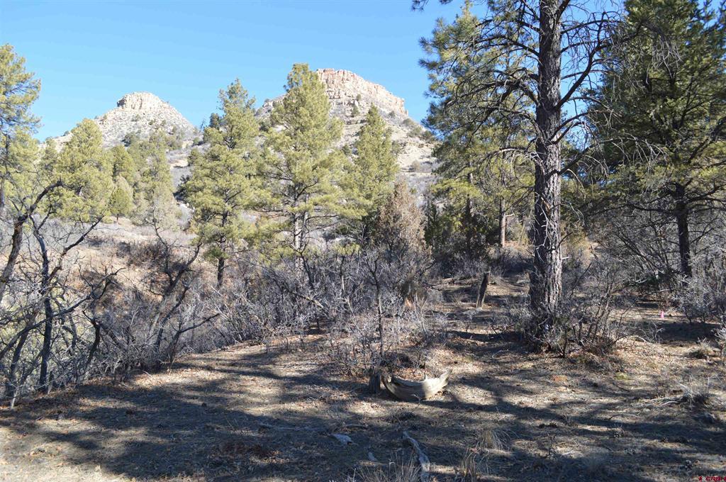 63 Snowdrop Ct. (lot 139) Property Photo 7