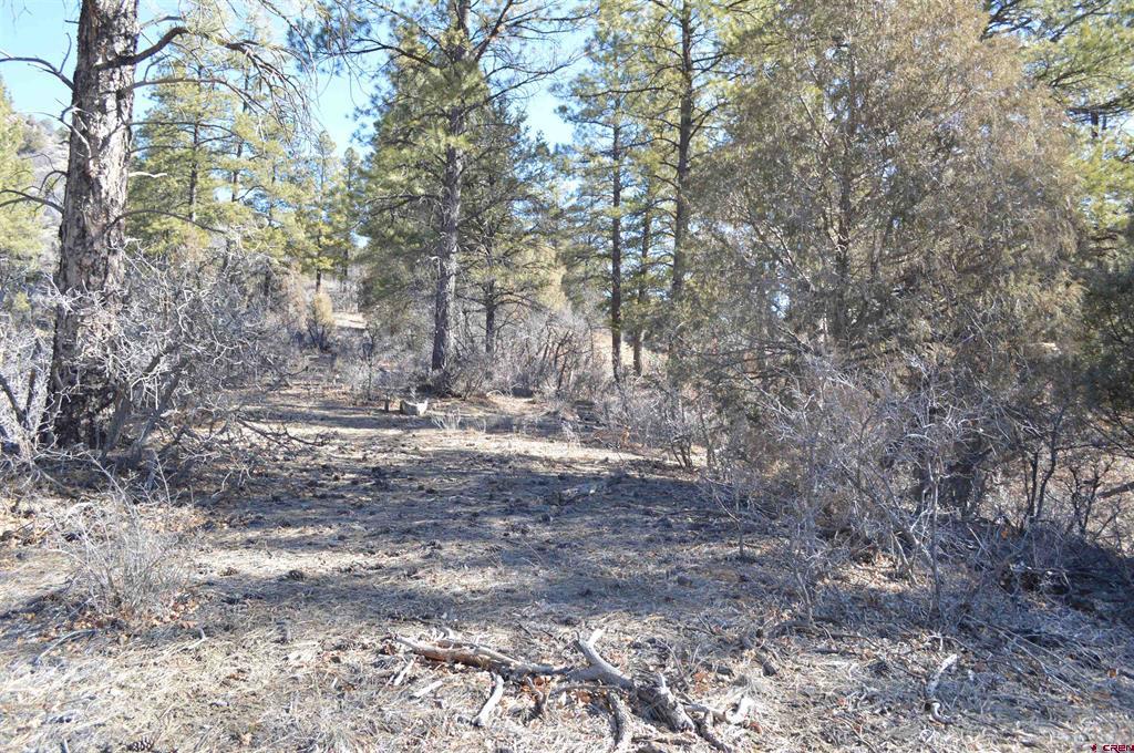 63 Snowdrop Ct. (lot 139) Property Photo 8
