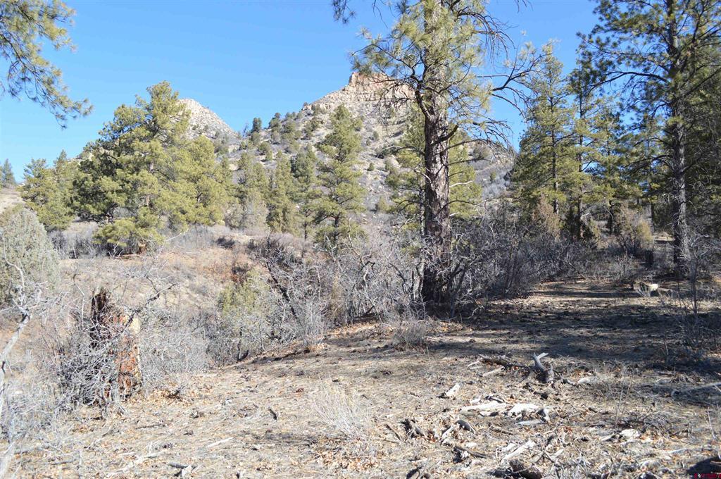 63 Snowdrop Ct. (lot 139) Property Photo 11