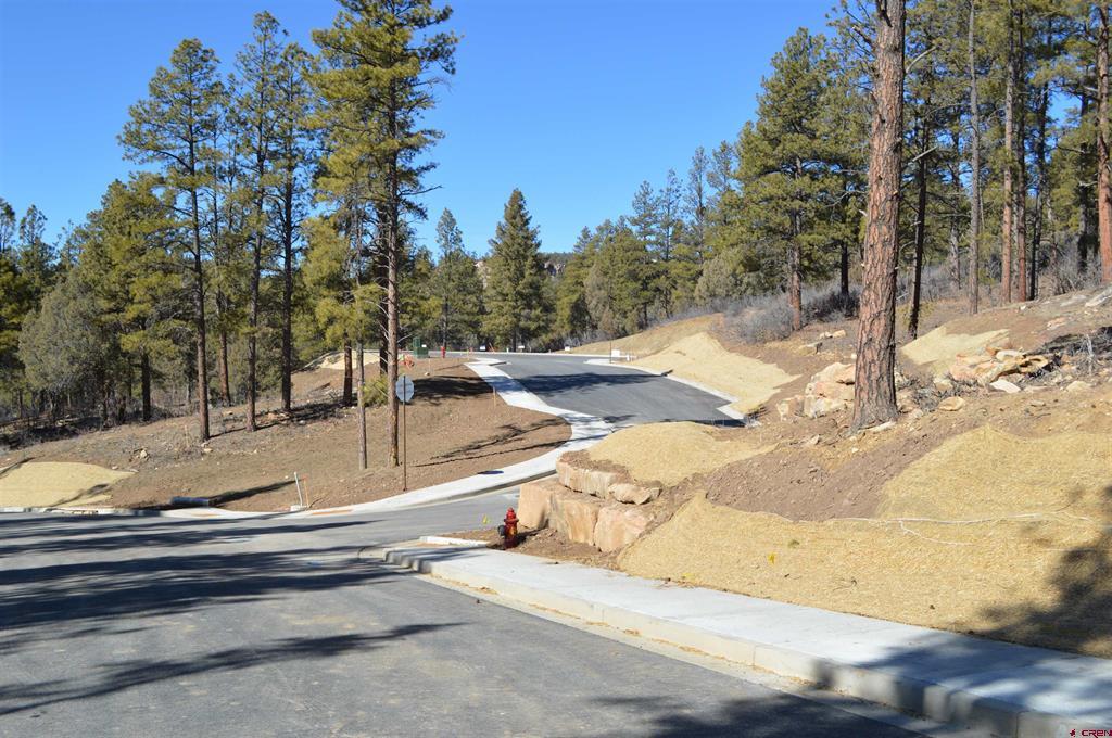 63 Snowdrop Ct. (lot 139) Property Photo 25