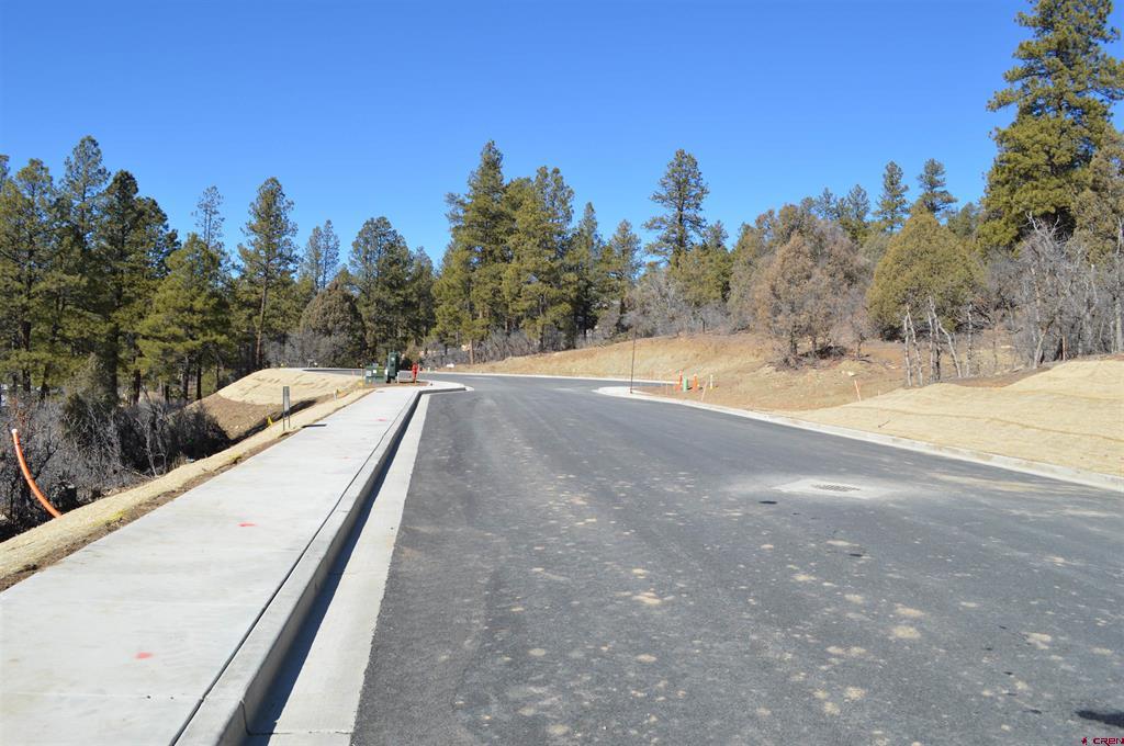63 Snowdrop Ct. (lot 139) Property Photo 31