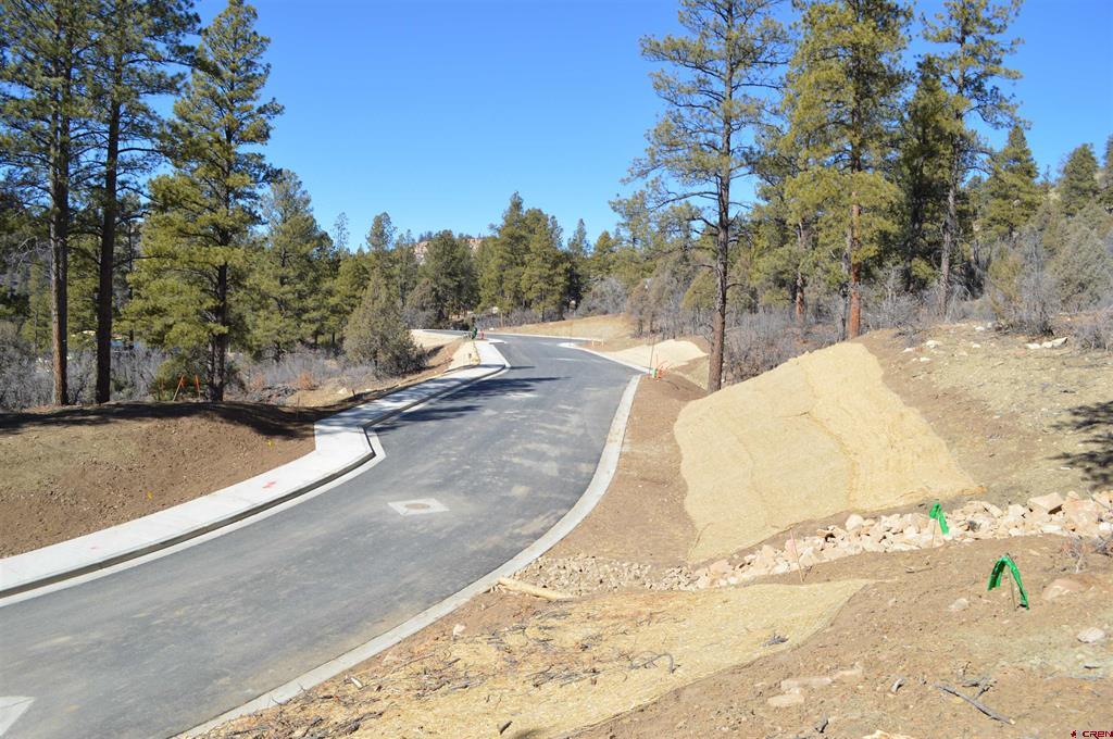 63 Snowdrop Ct. (lot 139) Property Photo 33