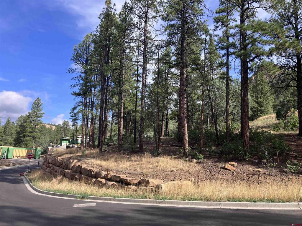 53 Snowdrop Ct. (Lot 140) Property Photo 1