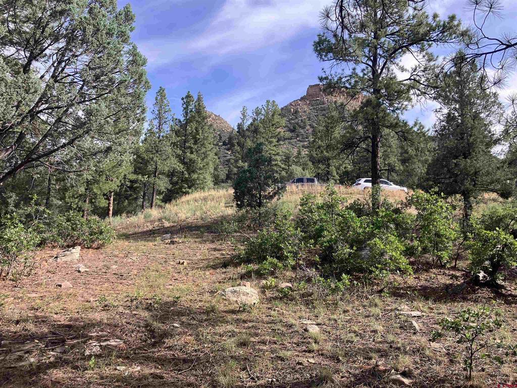 53 Snowdrop Ct. (lot 140) Property Photo 3