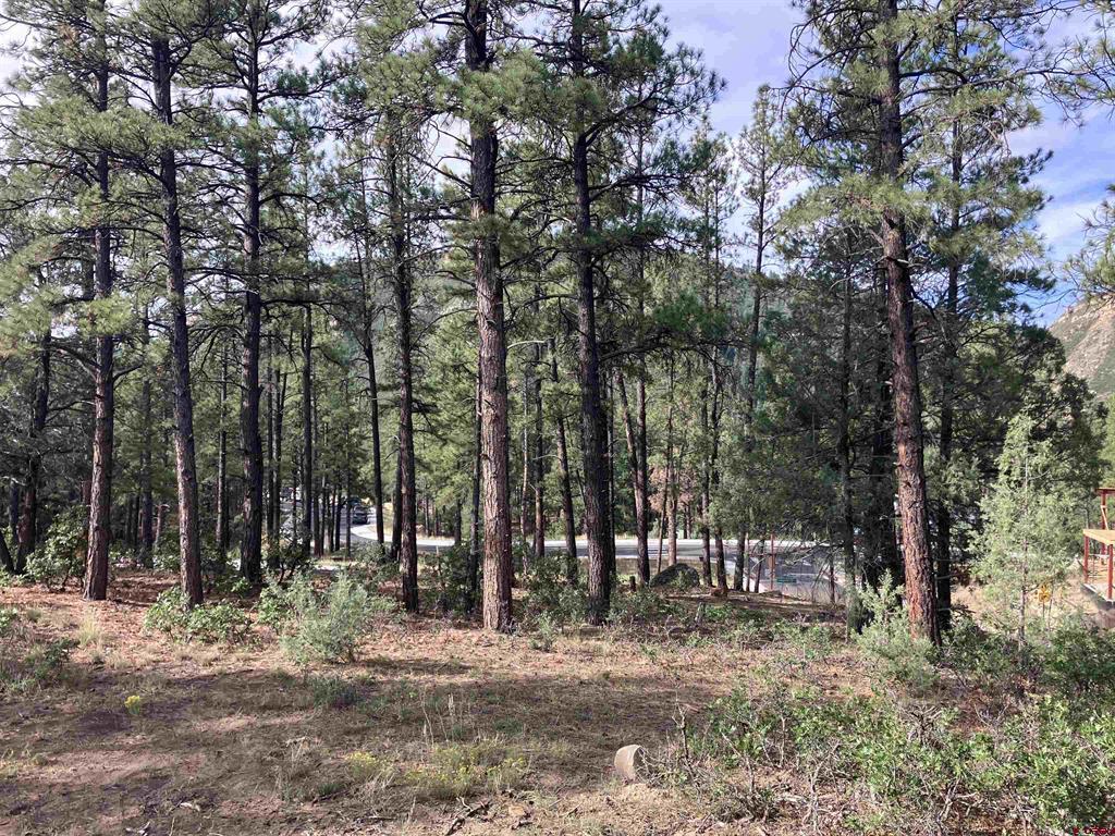 53 Snowdrop Ct. (lot 140) Property Photo 4