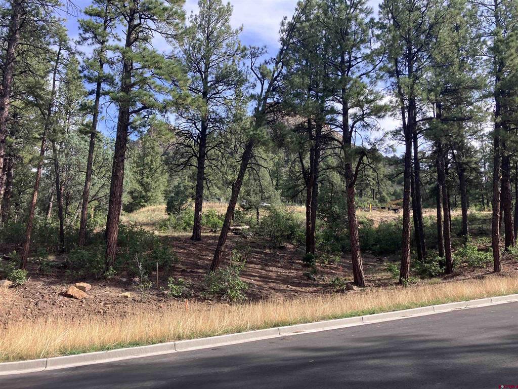 53 Snowdrop Ct. (lot 140) Property Photo 5