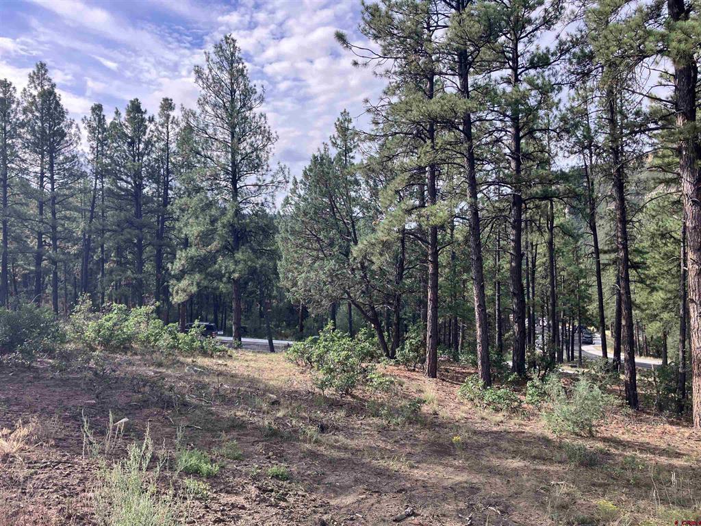 53 Snowdrop Ct. (lot 140) Property Photo 6