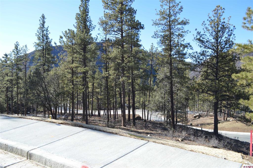 53 Snowdrop Ct. (lot 140) Property Photo 7