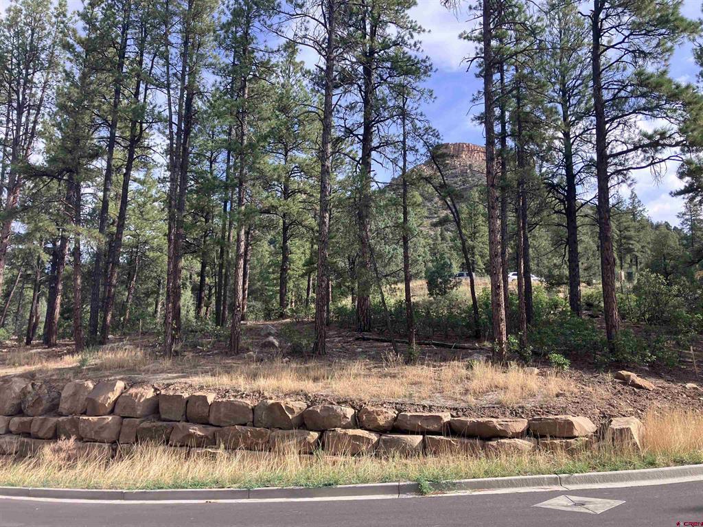 53 Snowdrop Ct. (lot 140) Property Photo 8