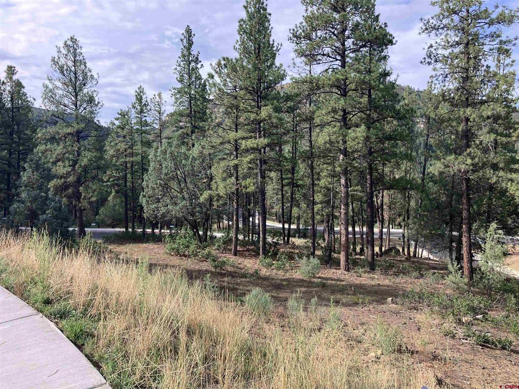 53 Snowdrop Ct. (lot 140) Property Photo 9