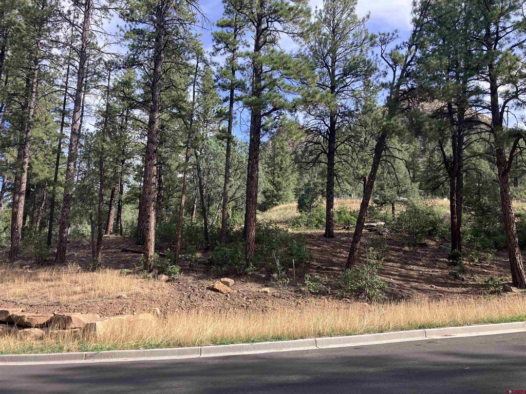 53 Snowdrop Ct. (lot 140) Property Photo 10