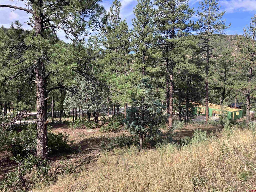 53 Snowdrop Ct. (lot 140) Property Photo 11