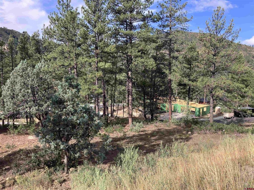 53 Snowdrop Ct. (lot 140) Property Photo 12