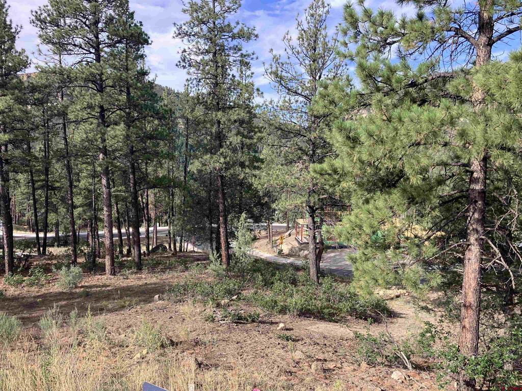 53 Snowdrop Ct. (lot 140) Property Photo 13