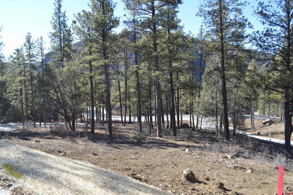 53 Snowdrop Ct. (lot 140) Property Photo 26