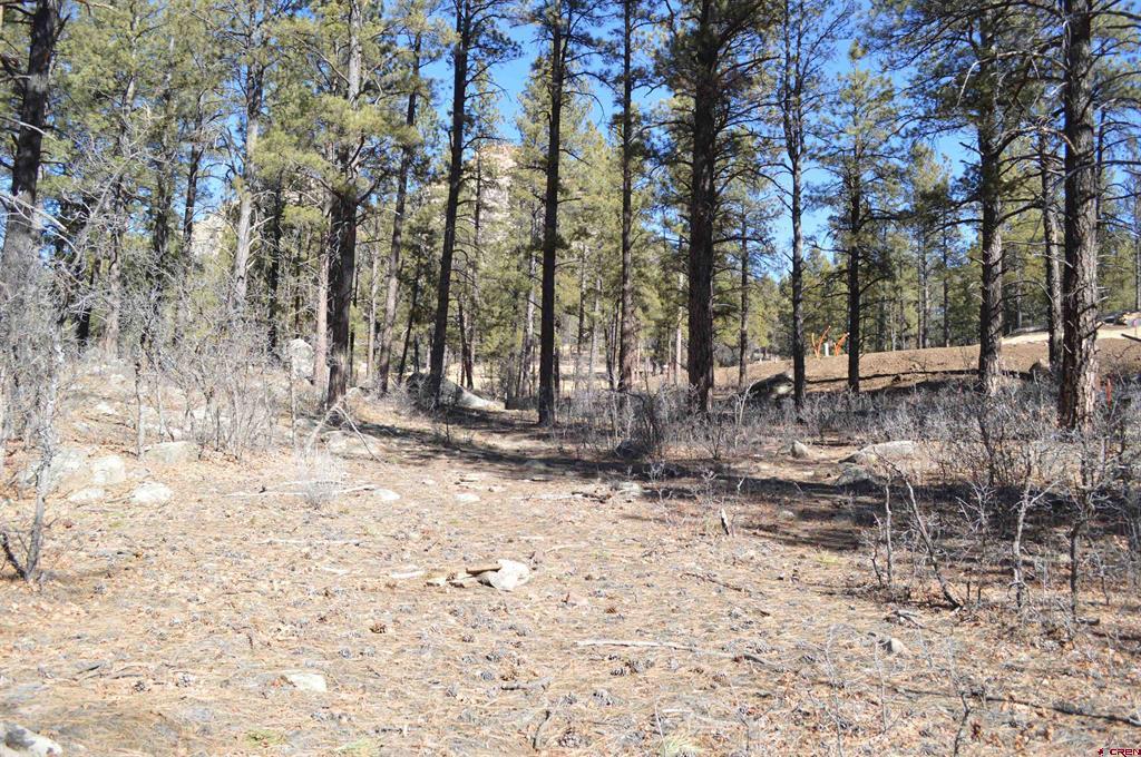 774 Tipple Ave. (lot 143) Property Photo 7
