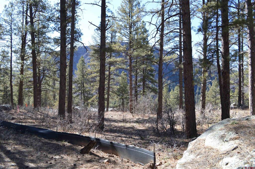 774 Tipple Ave. (lot 143) Property Photo 8